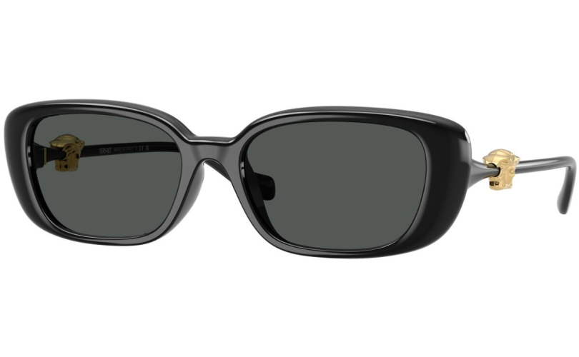 VERSACE VE4504D - GB1/87