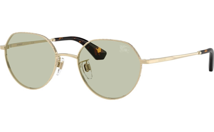 BURBERRY BE3173D - 1109/2