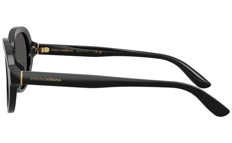 DOLCE & GABBANA DG4567 - 501/87 - 2