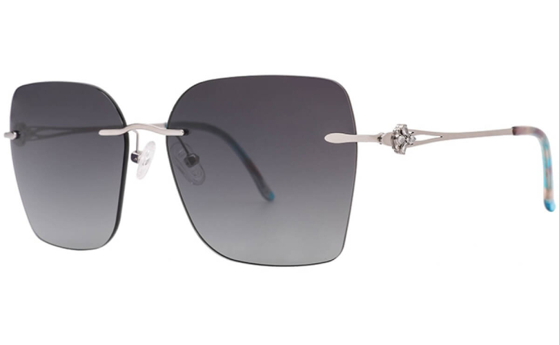 POLARD TS5009 - C2