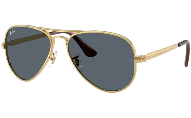 RAY-BAN RB3925 - 001/R5