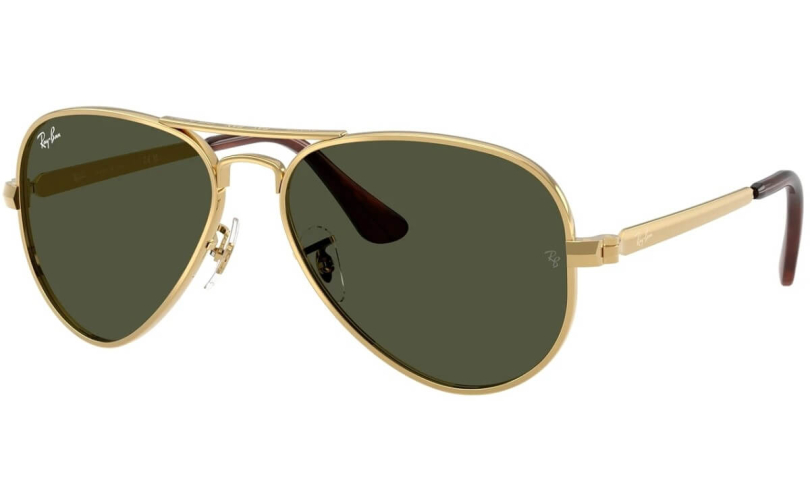 RAY-BAN RB3925 - 001/31