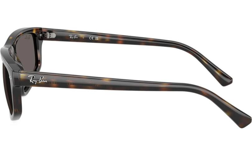 RAY-BAN RB2225 - 710/B1 - 2