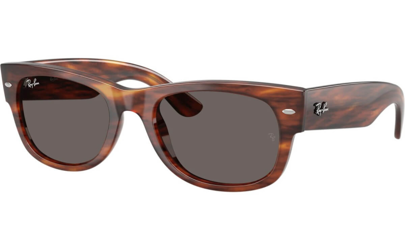 RAY-BAN RB0832S - 954/B1 - 1