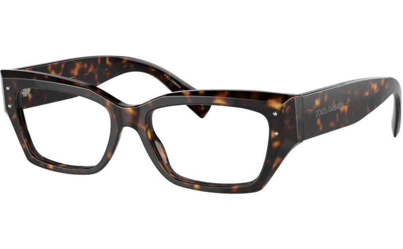 DOLCE & GABBANA DG3387 - 502