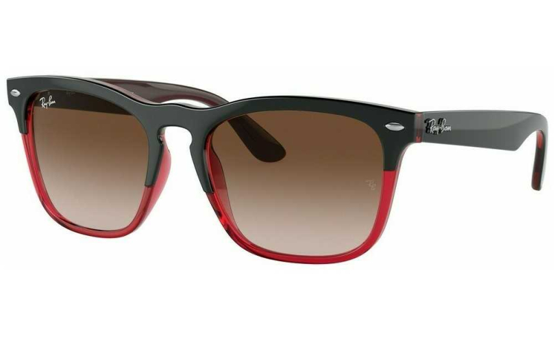 RAY-BAN RB4487 - 663113